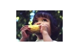 Corn on the Cob Days